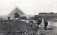 267 - Cairo - Native ploughing the Field