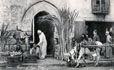109 - Cairo - Vendors of Sugar Cane