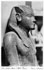 700 - Cairo Museum - Tut-Ankh-Amen