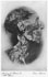 732 - Cairo Museum - Mummy of Ramses II